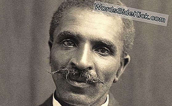 George Washington Carver: Életrajz, Találmányok És Idézetek