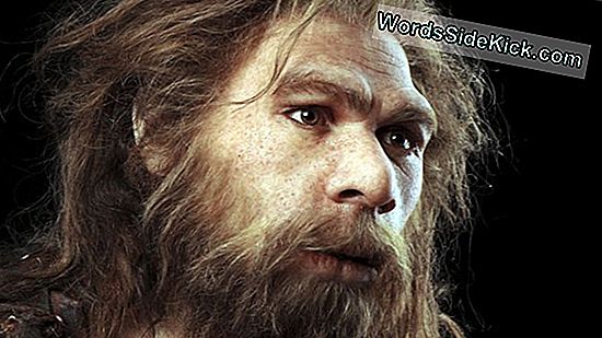 Neandertal: Inimest 99,5 Protsenti