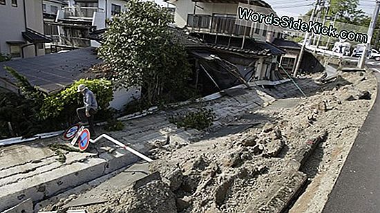 Japan Jordskælv Frigjort Overraskende Torrent Of Energy
