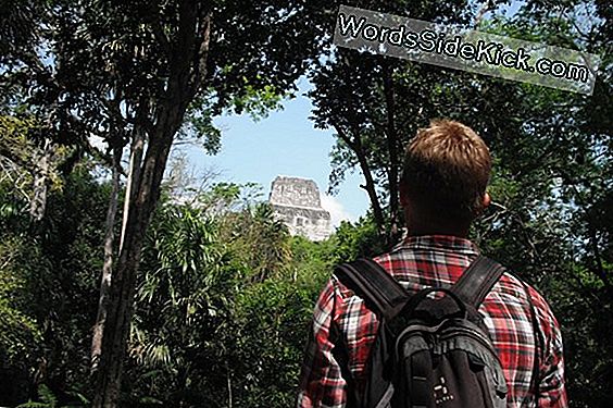 Tikal: Maya Civilisationens Hovedstad