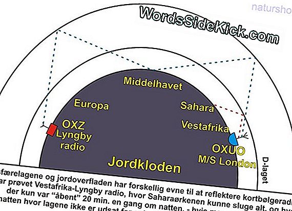 At Være Gay Ikke Et Valg: Videnskaben Modsiger Ben Carson