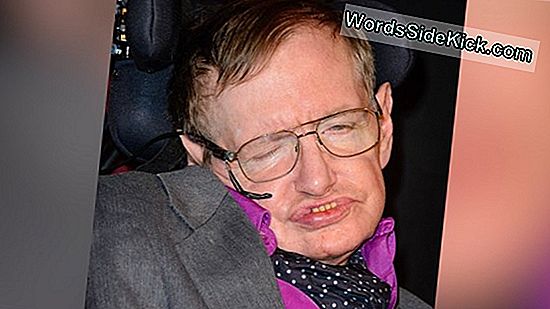 Stephen Hawking: Human Aggression Kunne 'Ødelægge Os Alle'