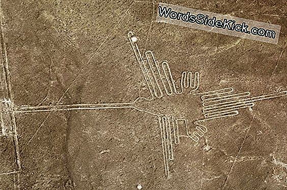 Mystiske Nazca Line Geoglyphs Dannede Gammel Pilgrimsrejse