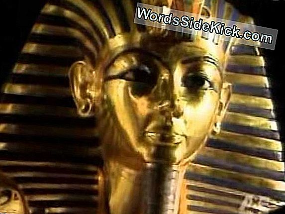 Tutankhamun: Boy Pharaohs Liv Og Død