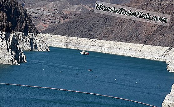 Epic Megadrought Strukket 16.000 År Siden