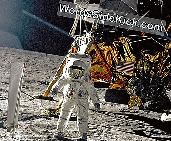 'Et Lille Skridt For Mennesket': Var Neil Armstrong Misquoted?