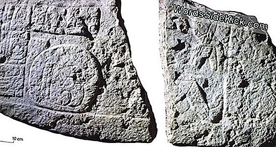 Ancient Stone Carvings Capture Maya Ballplayers Toiminnassa