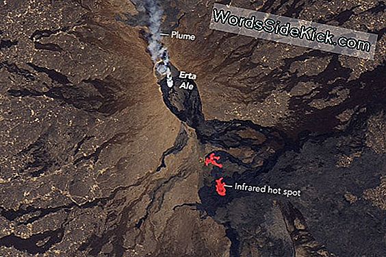 'Gateway To Hell': Volcano Caught Spewing Lava I Satellitbillede