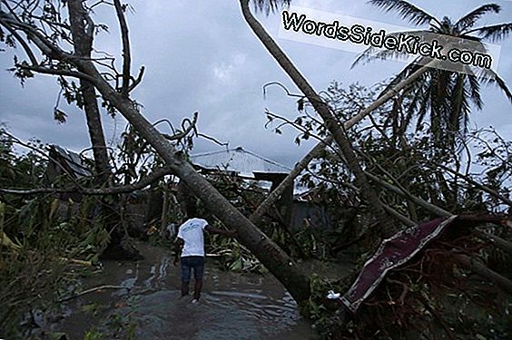 Hvis Orkanen Irma Hits Miami, Kan Skade Være 