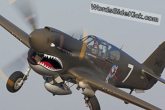 Curtiss P-40 Warhawk