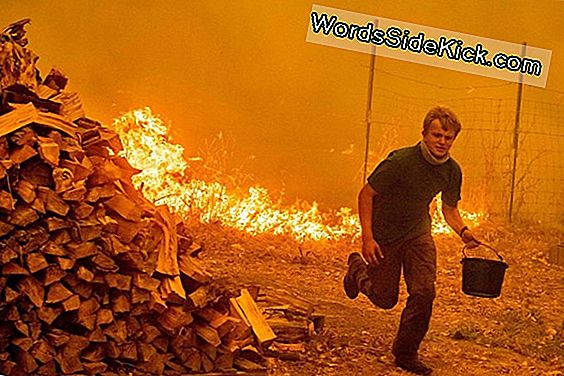 Mendocino Wildfire Muutub California Suurimaks Ja See On Endiselt Kasvav