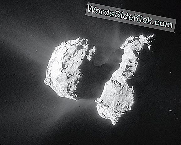 Rosetta Comets Oprindelig Historie Er Rar, Og Slutter Med En Rubber Ducky