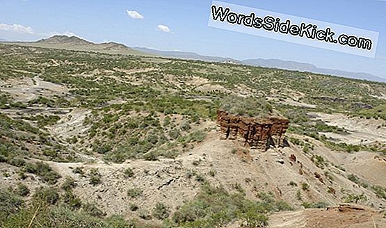 Olduvai Gorge: Ältester Beweis Für Die Evolution Der Menschheit