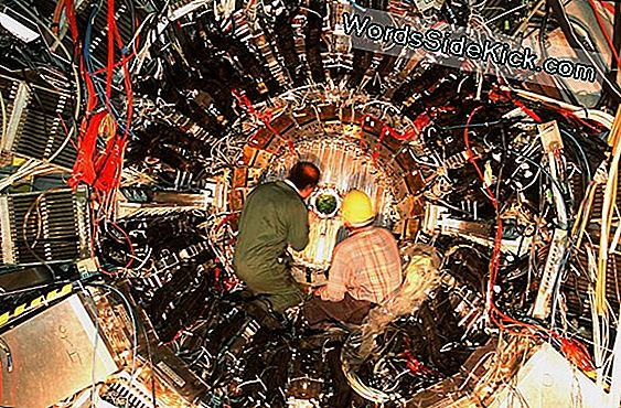 Higgs Boson Zum World Wide Web: 7 Große Entdeckungen Am Cern