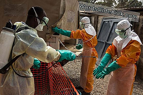 Neuer, Tödlicher Virus, Der Mit Ebola In Schlangen Verwandt Ist