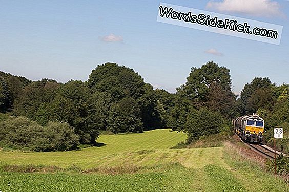 Schwere Morgenkrankheit Im Zusammenhang Mit Frühgeburten