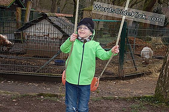 Verhalten Eines Jungen Erwachsenen Als Schlüssel Für Die Spätere Herzgesundheit