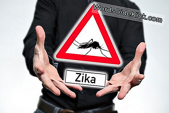 Zika Prevention: Das Summen Über Genetisch Veränderte Mücken