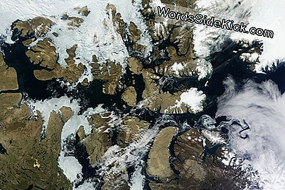 Eisschmelze In Der Nordwestpassage Von Satelliten Gesichtet