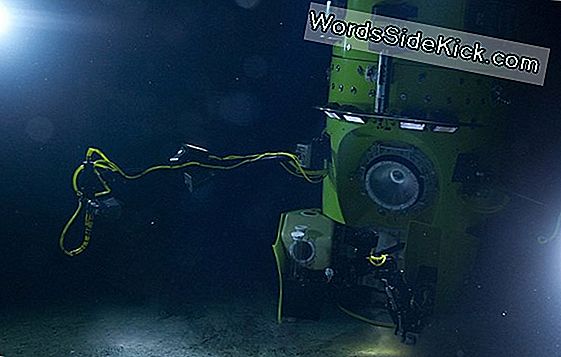 In Die Tiefe: Mariana Trench Dive Von James Cameron (Infografik)