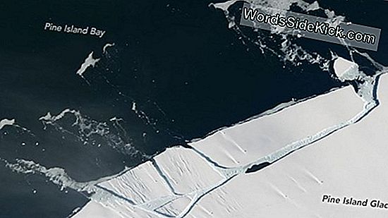 Foto Enthüllt Den Riesengrönland-Eisberg In Richtung Meer