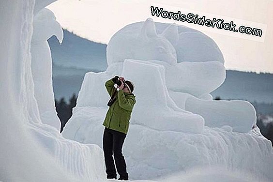 Schnee-Künstler Fotografiert Flocken Herauf Abschluss