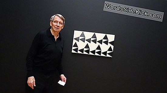 Die Kunst Der Mathematischen Modellierung