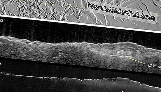 Wissenschaftler Nutzen Radar Zur Lokalisierung Von Clandestine-Gräbern