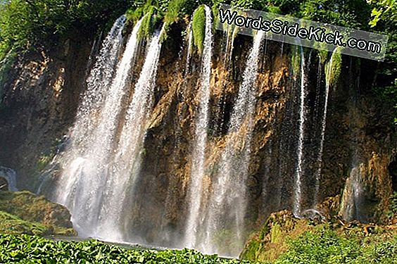 Machen Sie Sich Draußen: Besuchen Sie Einen Nationalpark Während Der Nationalparkwoche Kostenlos!