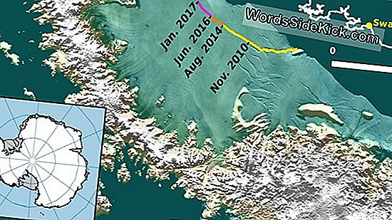 Wie Das Larsen-C-Eisregal Der Antarktis Einen So Gewaltigen Berg Gebar