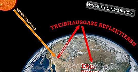 Warum Herbstblätter Durch Den Klimawandel Getrübt Werden Können