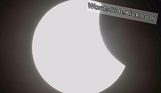 So Sehen Sie Die Große Amerikanische Sonnenfinsternis Live