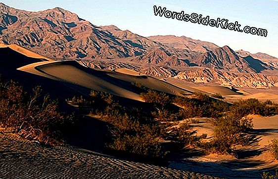 Death Valley Zerschmettert Hitzeaufzeichnung, 2. Jahr In Folge