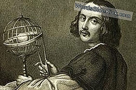 Biografía De Nicolaus Copernicus: Hechos Y Descubrimientos