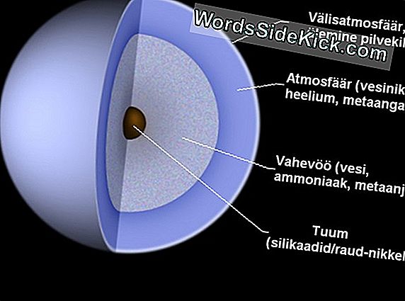 Maa Sisemus Eksponeeritud Omaanis