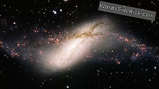 Werden Supermassive Schwarze Löcher Das Universum Essen?