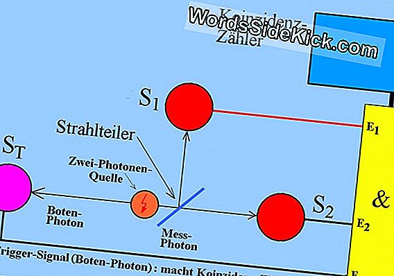 Ein Computer Mit Nur Zwei Neuronen Kann Lernen, Ein Fahrrad Zu Fahren