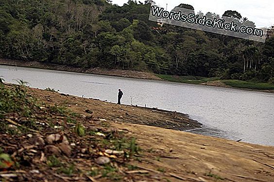 En Amazon, La Sequía De 2010 Es Peor Que La Temporada Seca De 2005