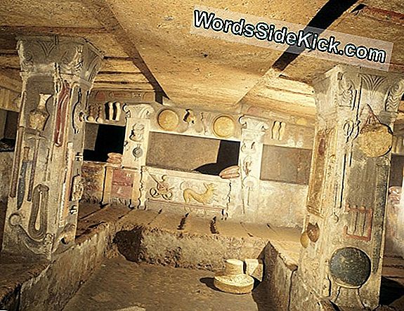 Collar Colorido De Momia Encontrado En Tumba Egipcia