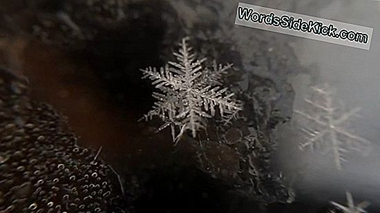 Cómo Se Forman Los Copos De Nieve: Nuevo Video Explica