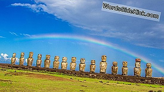 Isla De Pascua (Rapa Nui) Y Estatuas Moai