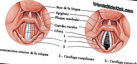 Para Mantener A Los Niños Seguros, Explique, Explique, Explique