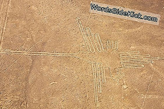 Más Viejo Que Nazca: Misteriosas Líneas De Roca Marcan El Camino A Las Antiguas Ferias Del Perú