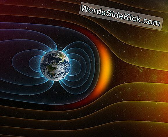 El Campo Magnético De La Tierra Podría Girar En Nuestra Vida
