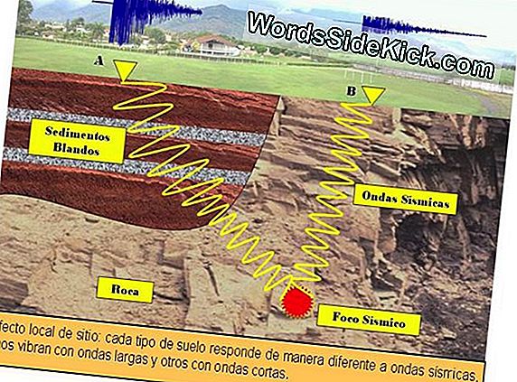 Las Ondas Sísmicas Muestran Qué Fanáticos Del Deporte Es El Rock Más Duro