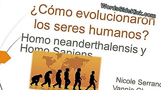 ¿Cómo Evolucionan Los Humanos?