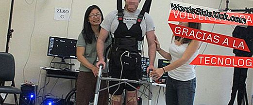 El Hombre Paralizado Camina De Nuevo Usando El Sistema De Ondas Cerebrales