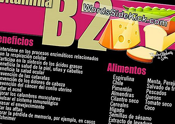 Vitamina B2 (Riboflavina): Fuentes, Beneficios Y Dosis