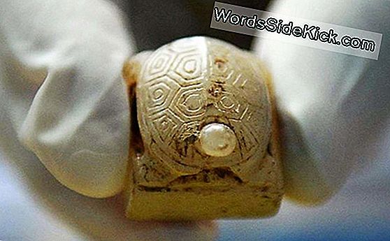 Tesoros De Oro Descubiertos En La Tumba De La Dinastía Ming (Fotos)