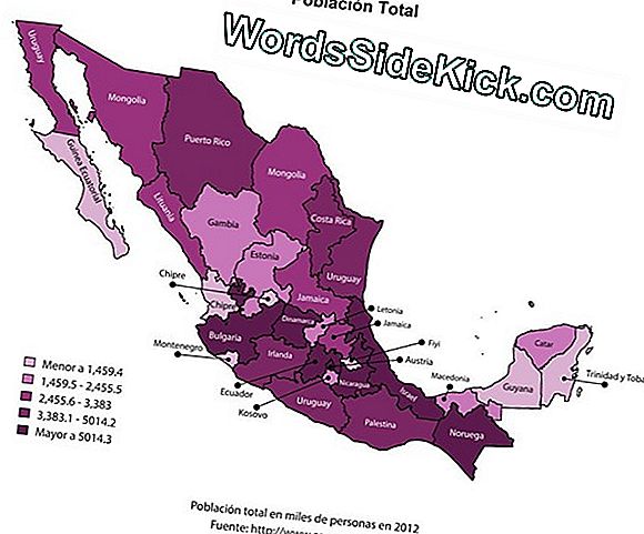 ¿Dónde Viven 7 Mil Millones De Personas? (Infografía)